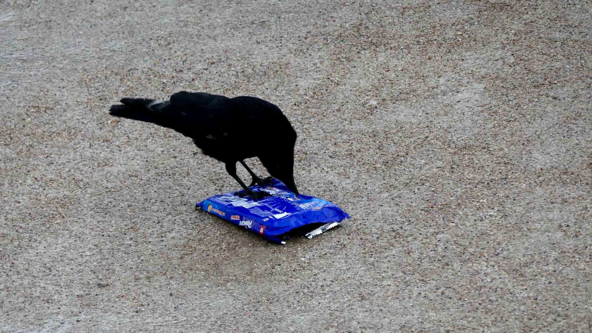 2018-03-15 18-12-34 BP